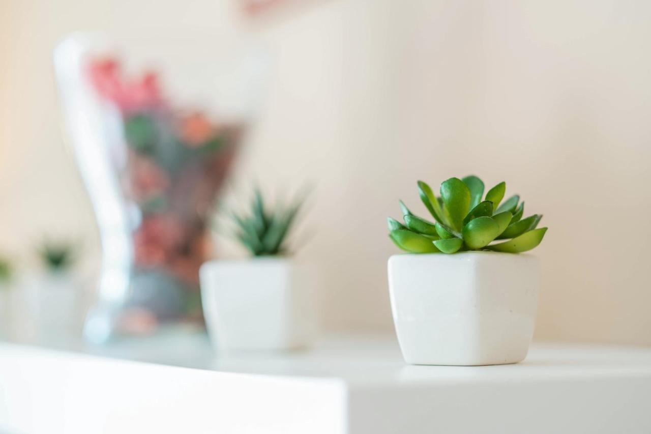 Mf Port Azur Wellness Apartments シオーフォク エクステリア 写真